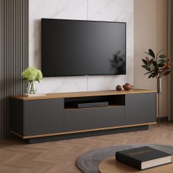 ტელევიზორის მაგიდა T501