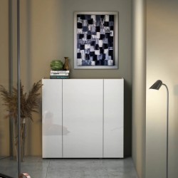 ფეხსაცმლის კარადა F14