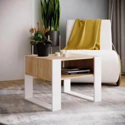 ჟურნალების მაგიდა j0425