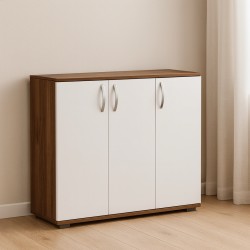 ფეხსაცმლის კარადა F13